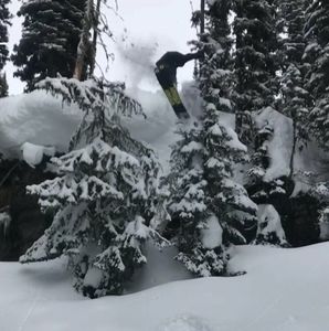 Meet your Posher, Louis